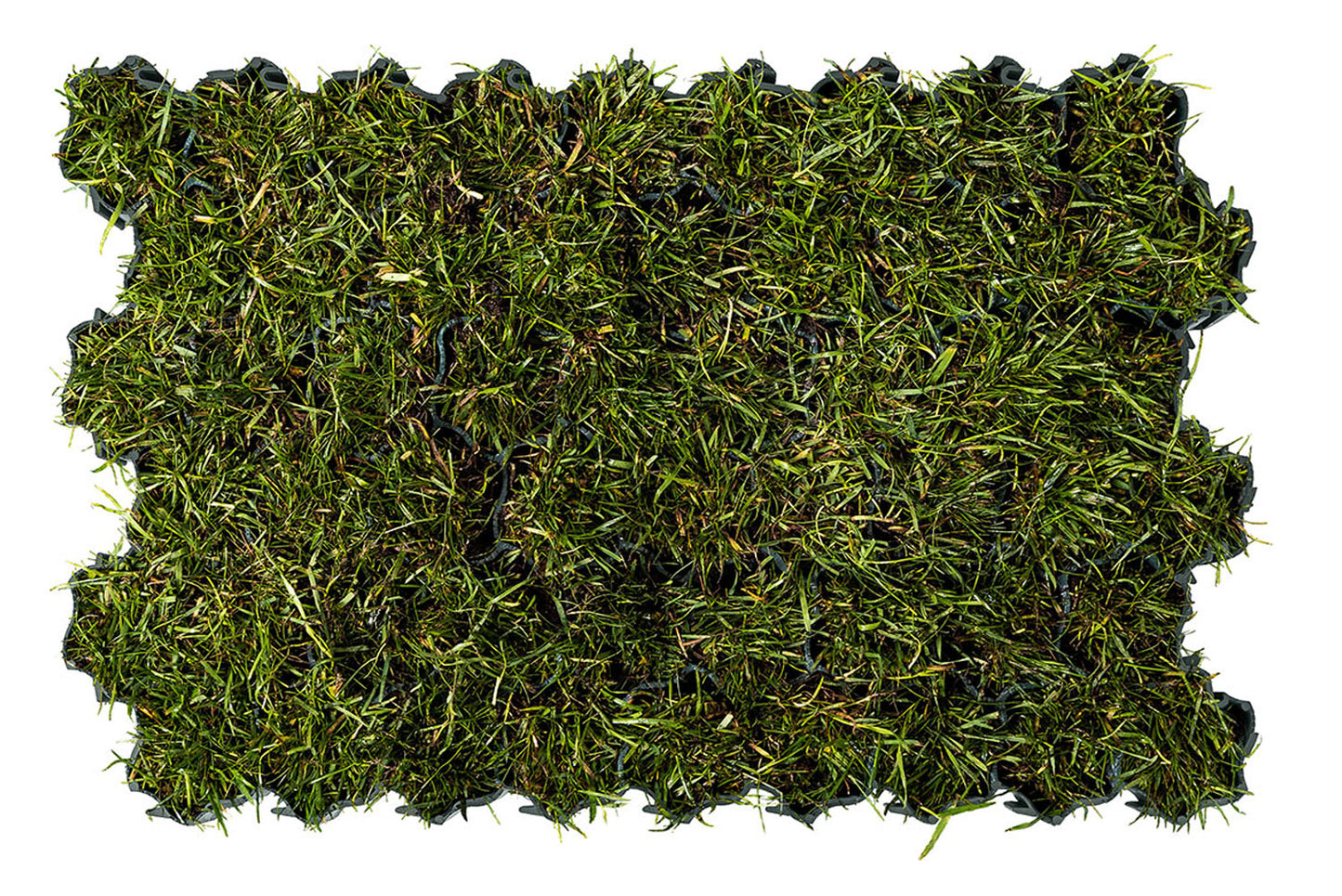 Zemes pastiprināšanās režģis. 58 x 39 x 4 cm . Svars: 4,66 kg/m²